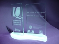trophee cci